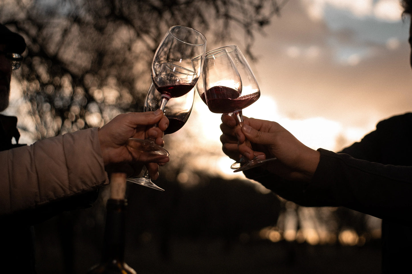 Winery visit + tasting