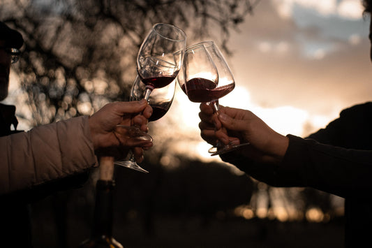 Visita bodega + cata